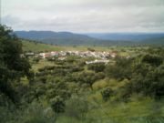 Piconcillo Verde. Piconcillo, C�rdoba